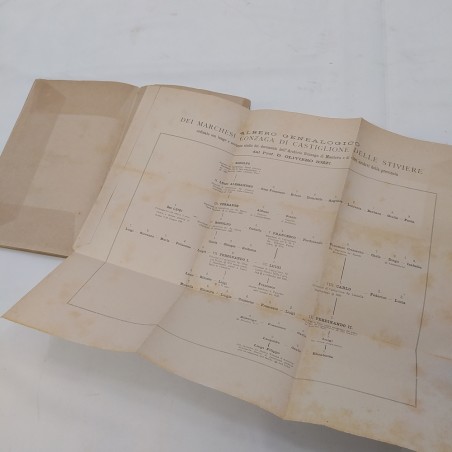 Libro Lettere di S. Luigi Gonzaga, ed. Ungher 1889. Segni del tempo