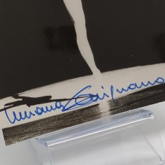 Lotto di 2 foto autografe della ballerina Luciana Savignano 1983 con note. Buono 2