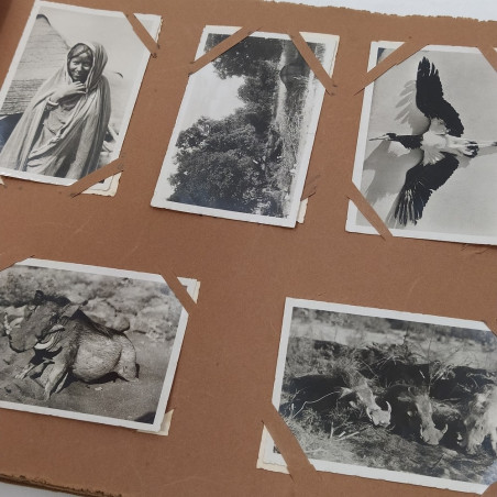 Album 250 fotografie e cartoline Abissinia 31x23 cm. Ingiallimenti