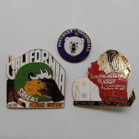 Lotto di 7 placche e spille USA di Hockey in metallo smaltate anni '80. Ottime