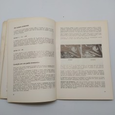 Manuale d'uso manutenzione Opel mod. Kadett Olympia 1967. Condizioni mediocri 2