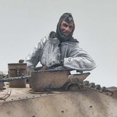Diorama WWII Cacciacarri Hetzer Cecoslovacchia anno 1945 sc. 1/35