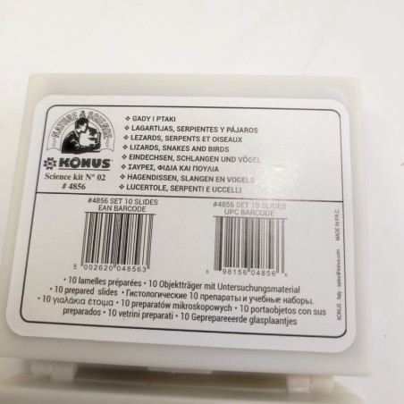Microscopio biologico Konus College x600 ref. ＃5302 usato 02/2024