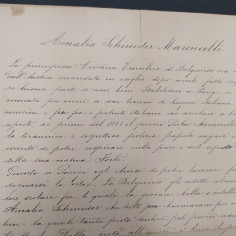 Biografia di Annalisa Schneider sposa di Maroncelli Piero compagno Pellico 2