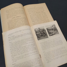 Due opuscoli sulla coltivazione del tabacco fine anni 40 2