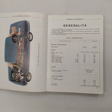 Istruzioni per le riparazioni Fiat 124, 124 Special, 1971. Aloni e macchie