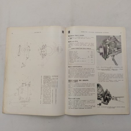 Caratteristiche e dati, norme per le revisioni Fiat 124, 1966. Macchie e polvere