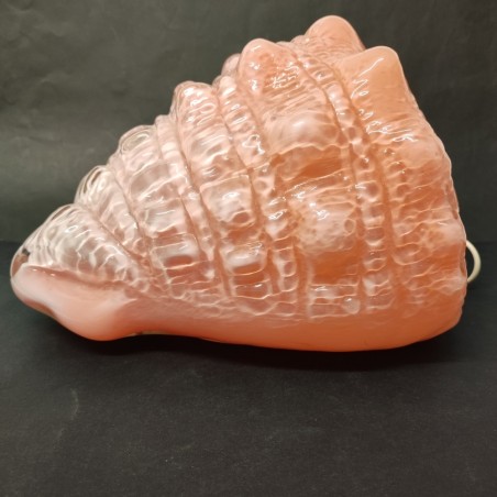 Lampada da tavolo Shell a conchiglia rosa e bianca Mazzega