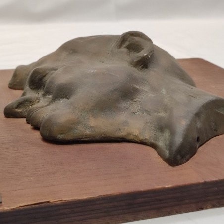 Testa in bronzo di J.F. Kennedy su tavola in legno 30x30 cm
