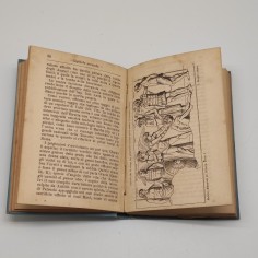 Manuale Hoepli Pittura Italiana (Parte prima) 1885 una pagina tagliata 2