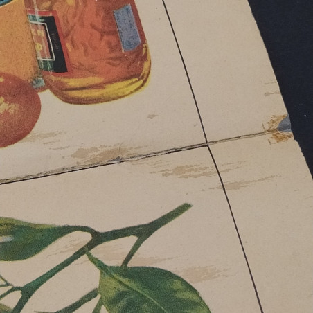 Poster Gli agrumi e i loro derivati, 1965, ed. La scuola. Strappi e riparazioni