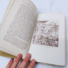 Libro Burattini e burattinai bolognesi, Pandolfini Barberi, Zanichelli 1923 2
