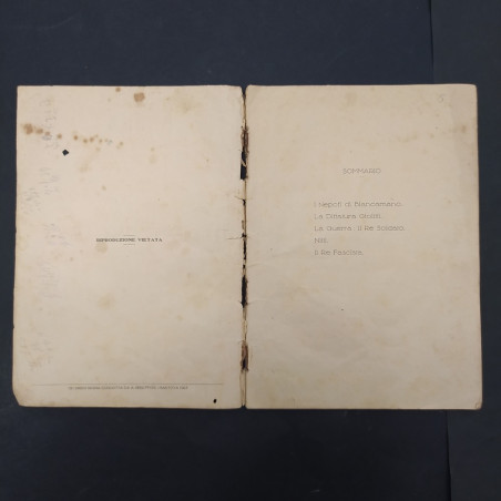 Libro Vittorio Emanuele III Il Re Fascista - Rivelazioni di Orlando Danese 1923