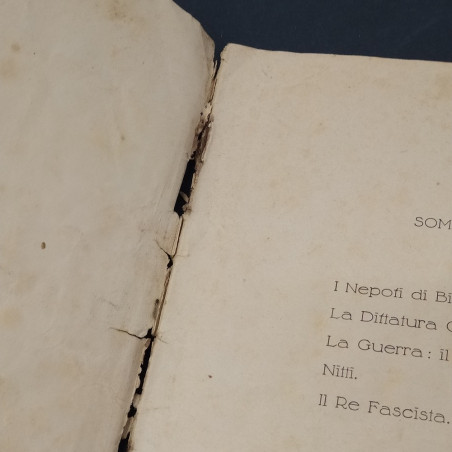 Libro Vittorio Emanuele III Il Re Fascista - Rivelazioni di Orlando Danese 1923