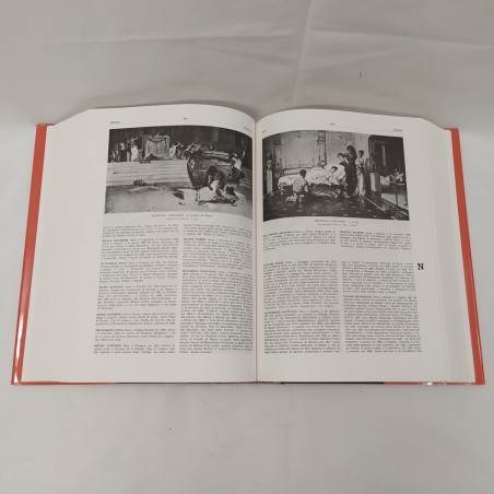 Libro I Pittori italiani dell'Ottocento, Comanducci, ed. San Gottardo 1991
