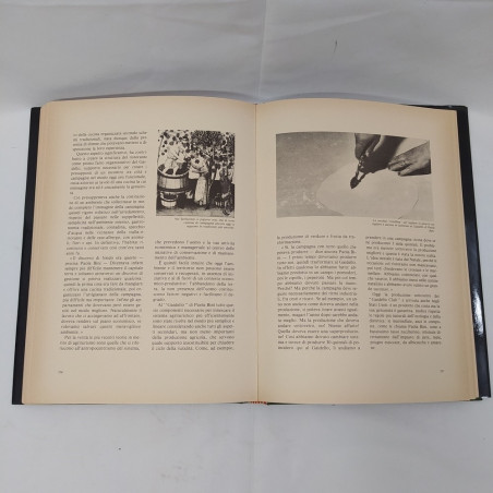 Libro Civiltà della Tavola a Modena, Giorgio Maioli, Annibali edizioni 1985