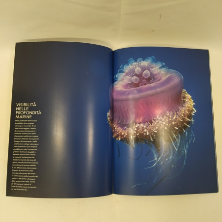 Catalogo orologi Omega Seamasters Planet Ocean, pieghe