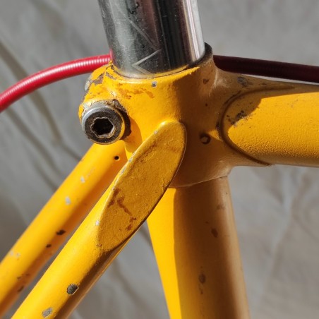 Bici corsa Patelli giallo uovo anni 60 tubi acciaio gruppo Campagnolo tg. 58