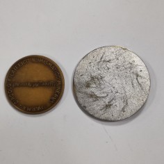 Lotto di 2 medaglie celebrative di Giuseppe Verdi 1981. Buono 2