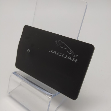 Torcia a scheda Jaguar 8,5x5,5 cm con doppio led