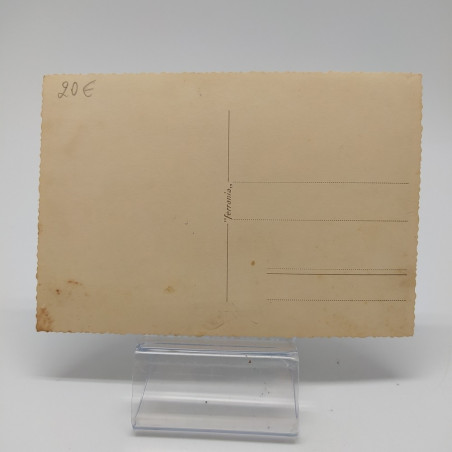 Cartolina laureandi di chimica pura, Università di Modena, anno acc. 1941-42