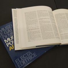 Libro Musei e gallerie di Milano Museo Poldi Pezzoli Armeria II AAVV 1986 2