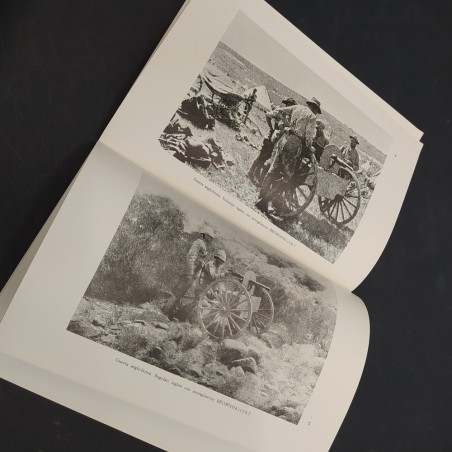 Libro Armi antiche 1975 Bollettino dell’accademia di san Marciano  AAVV 1975