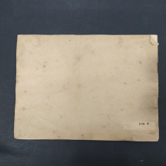 Volume Metodo per l'allevamento artificiale del fagiano, Nedici, 1939. Macchie 2
