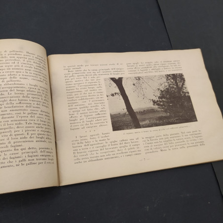 Volume Metodo per l'allevamento artificiale del fagiano, Nedici, 1939. Macchie