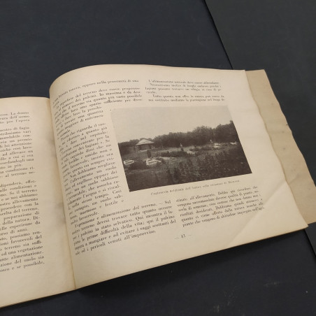 Volume Metodo per l'allevamento artificiale del fagiano, Nedici, 1939. Macchie
