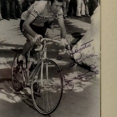 Foto del ciclista Felice Gimondi con dedica a Fausto 1982 in quadro. Buono 2