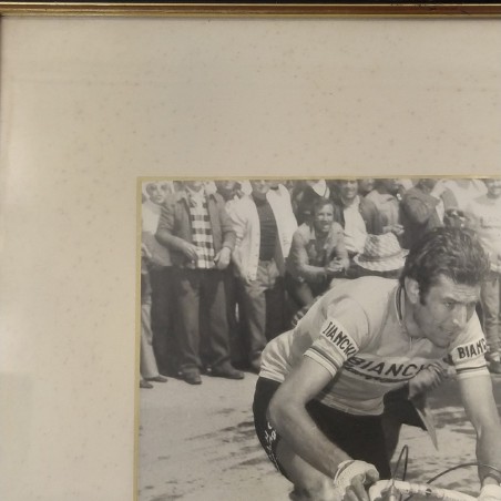Foto del ciclista Felice Gimondi con dedica a Fausto 1982 in quadro. Buono
