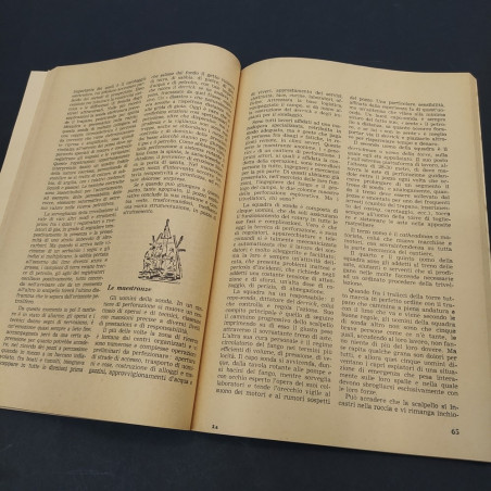 Libro Il petrolio, Andrea Pais, 1963, raccolta delle lezioni Sole 24 ore-Scuola