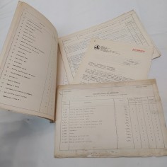 Manuale Servizio diagnosi e manutenzione programmata Autobianchi. Strappi 2