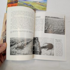 Rivista L'italia Agricola lotto di 4 numeri anni 60 2