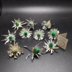 10x fiore di cardo elettroformati in argento 925 simbolo fortuna