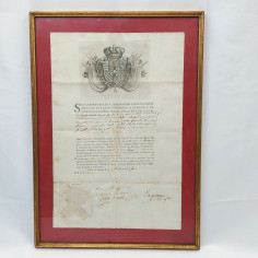 Ferdinando III Lettera patente lasciapassare 1796 - 36x51 cm