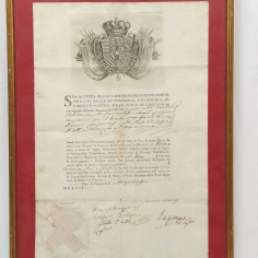 Ferdinando III Lettera patente lasciapassare 1796 - 36x51 cm 2