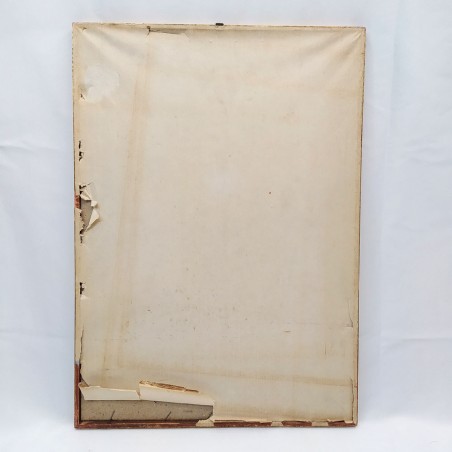Ferdinando III Lettera patente lasciapassare 1796 - 36x51 cm