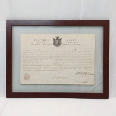 Documento incorniciato di Placido Gabrielli fine 800 in latino