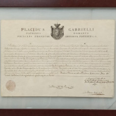 Documento incorniciato di Placido Gabrielli fine 800 in latino 2