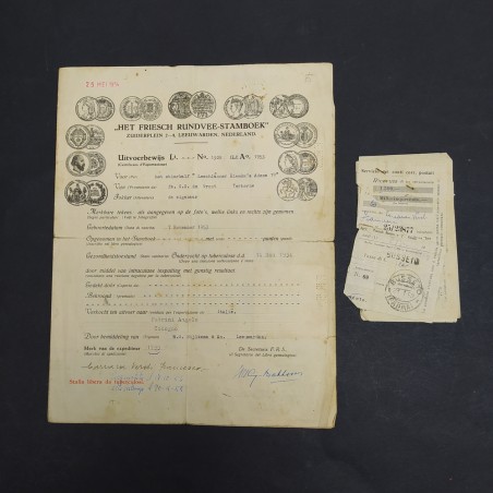 Documento con la genealogia di bovini in tedesco e italiano datato 1954