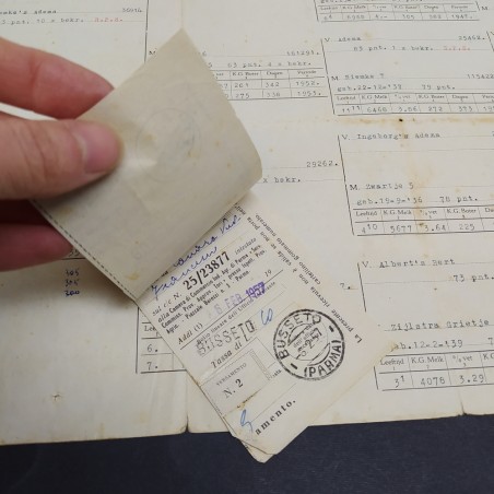 Documento con la genealogia di bovini in tedesco e italiano datato 1954
