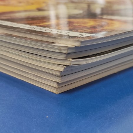 Slàine - Pat Mills Bisley Fabry et al. Magic Press vol da 1 a 9