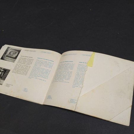 Libretto Trasportatore leggero Mercedes Benz multilingue, 1973. Macchie, strappi