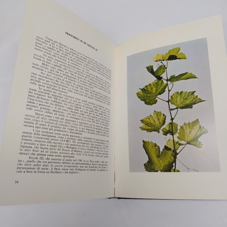 Libro Lambrusco & C, Alberto Govi, Ugo Preti, fotografie Fontana, 1976. Buono