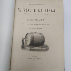 Volume Il vino e la birra, Luigi Figuier 1882. Rilegatura con strappo 2