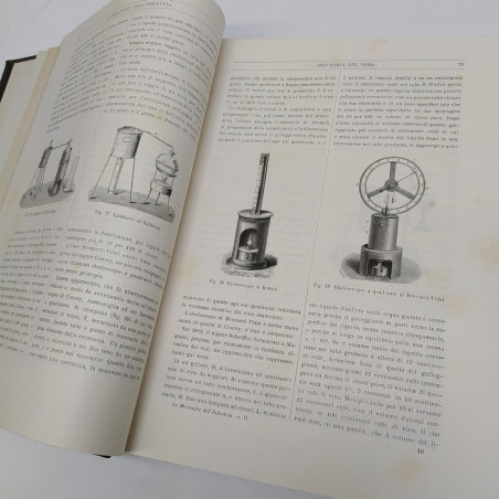 Volume Il vino e la birra, Luigi Figuier 1882. Rilegatura con strappo
