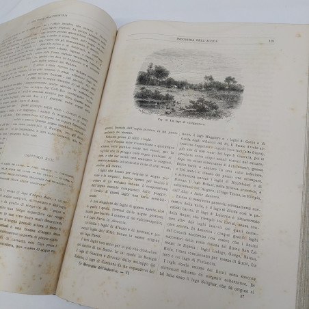 Volume Il vino e la birra, Luigi Figuier 1882. Rilegatura con strappo