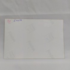 Fotografia di Massimo D'Alema con autografo. Ottime condizioni 2
